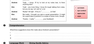 Advice for Presentations (part 2)