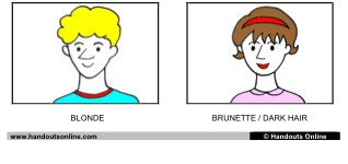 Description Flashcards (Small) (part 3)