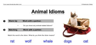 Animal Idioms (part 1)